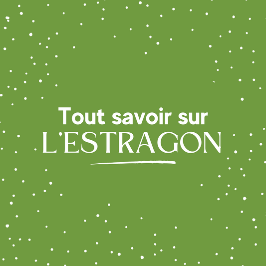 Tout savoir sur l'estragon ebook de recettes, d'astuces de cuisine et de conseils sur les bienfaits de l'estragon