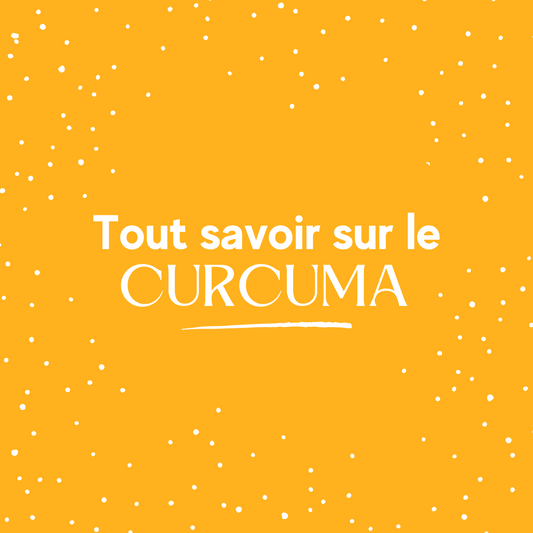 ebook Tout Savoir sur le Curcuma (recettes, astuces, bienfaits) livre PDF