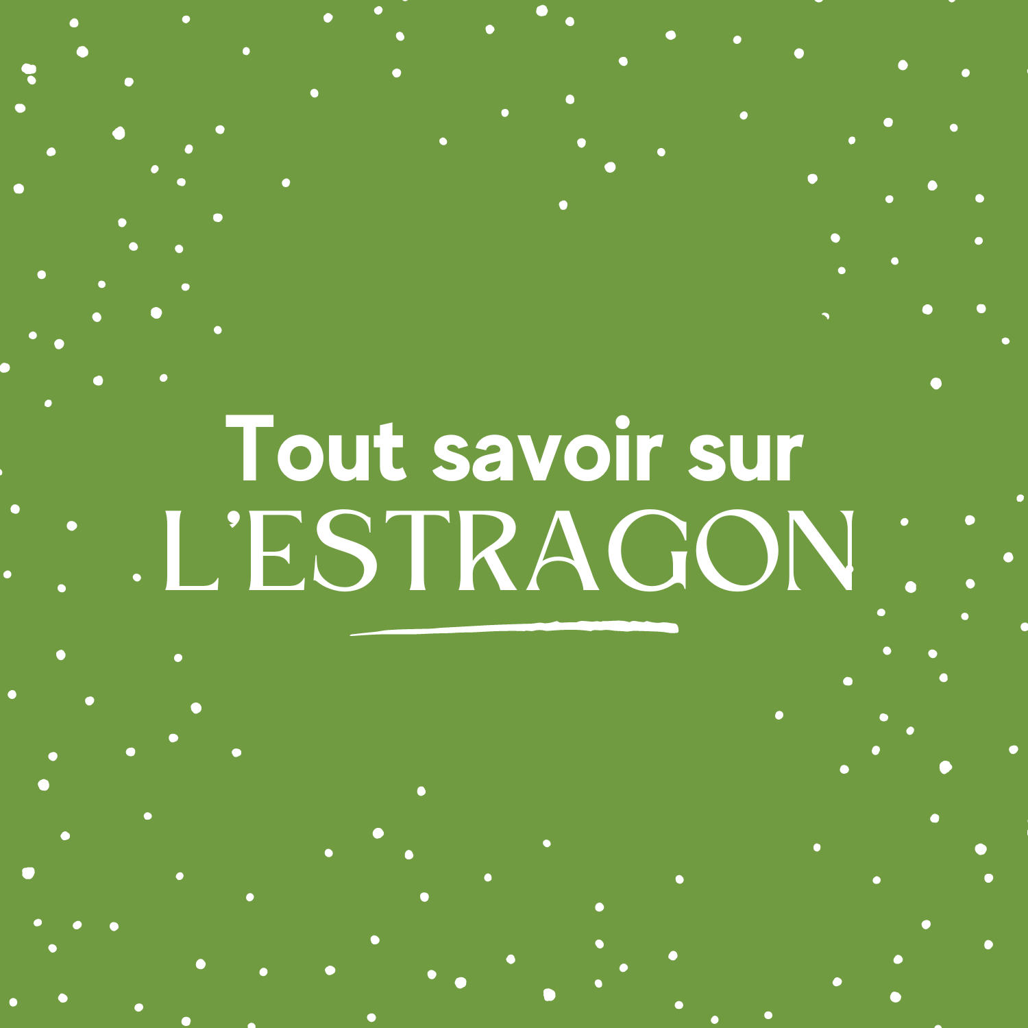 Tout savoir sur l'estragon ebook de recettes, d'astuces de cuisine et de conseils sur les bienfaits de l'estragon