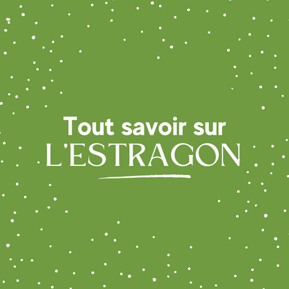 Tout savoir sur l'estragon ebook de recettes, d'astuces de cuisine et de conseils sur les bienfaits de l'estragon