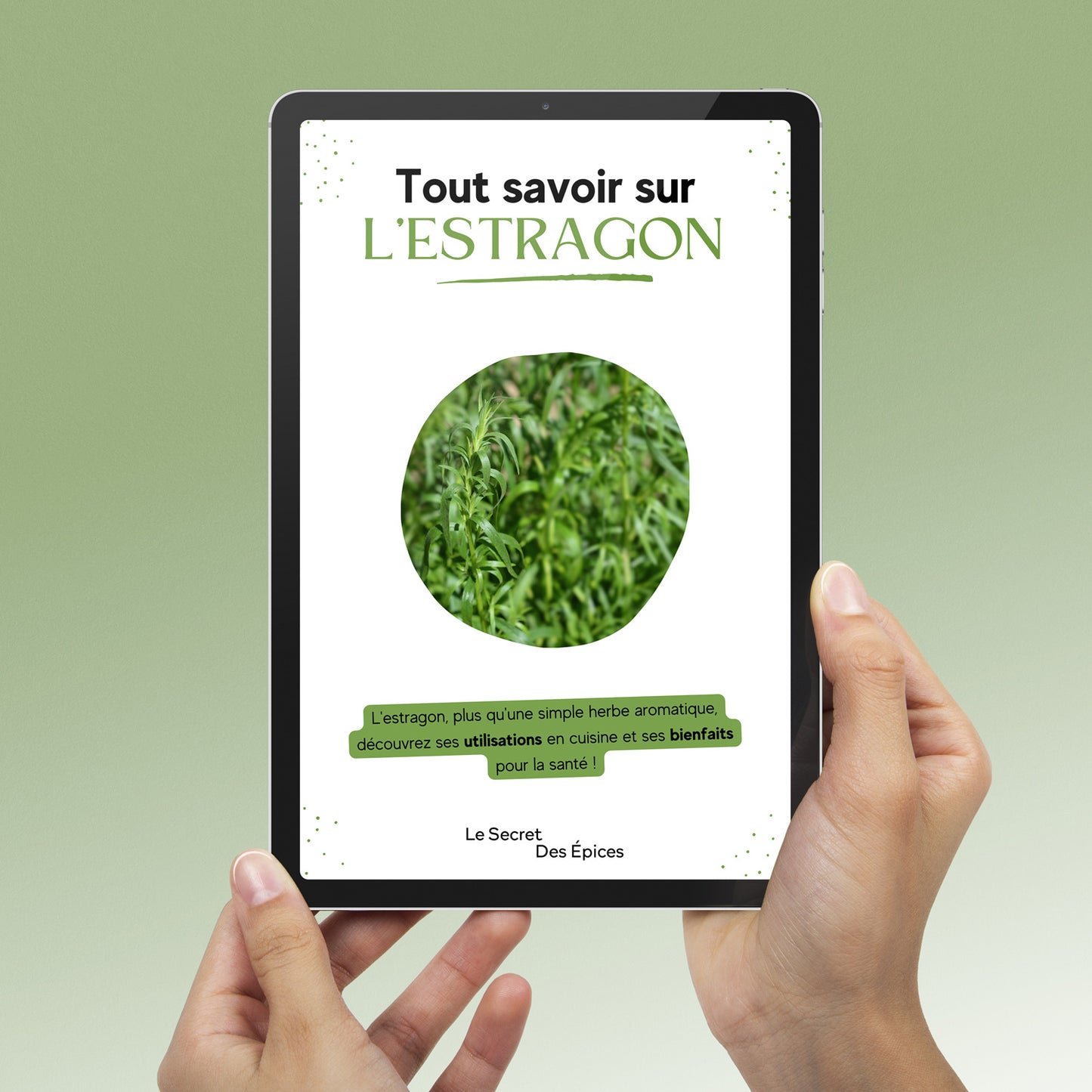 ebook de cuisine sur l'estragon Tout Savoir sur l'Estragon